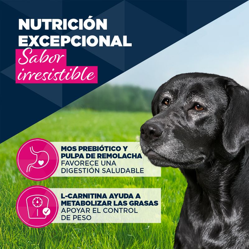Eukanuba Senior rico en vacuno con calabaza