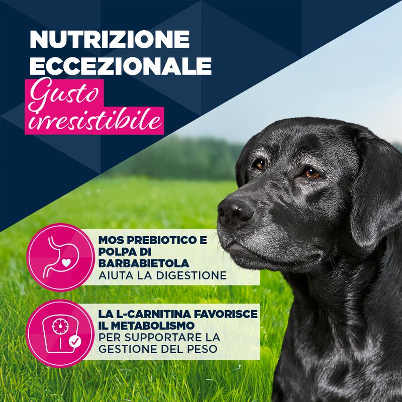 Eukanuba Senior ricco di Trota con patate dolci