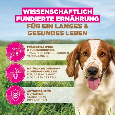 Eukanuba Grain Free Adult Small & Medium mit Seefisch