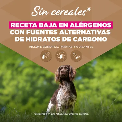 Eukanuba Grain Free Senior Small & Medium pescado de mar