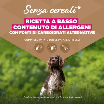 Eukanuba Grain Free Senior Small & Medium Pesce