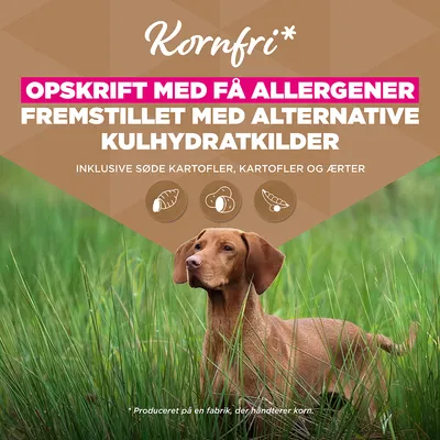 Eukanuba Grain Free Senior Large & Giant med havfisk