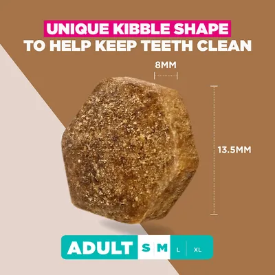 Eukanuba Grain Free Adult Small & Medium med lam