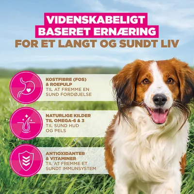 Eukanuba Grain Free Adult Small & Medium Lam