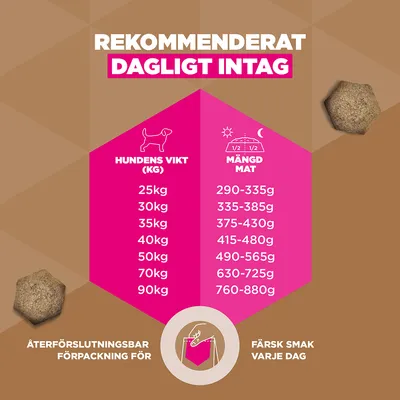 Eukanuba Grain Free Adult Large & Giant Lamb