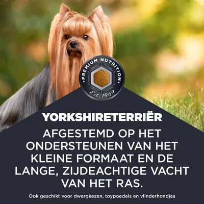 YORKSHIRETERRIER. Afgestemd op de ondersteuning van het kleine formaat en de lange, zijdeachtige vacht van het ras. Ook geschikt voor Dwergkeeshond, Toypoedel en Papillons.
