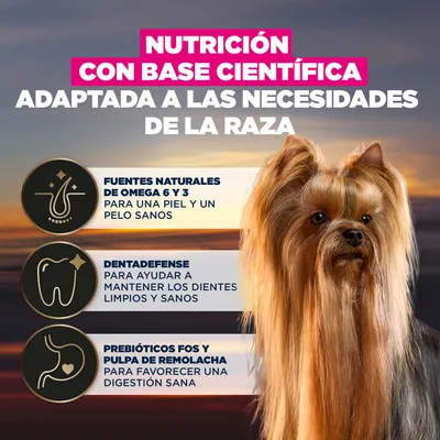 Nutrición basada en la ciencia, adaptada a la raza. Fuentes naturales de omega-6 y omega-3, cuidado dental, prebióticos fructo-oligosacáridos y pulpa de remolacha para una digestión saludable. Nutrición basada en la ciencia, adaptada a la raza. Fuentes naturales de omega-6 y omega-3, cuidado dental, prebióticos fructo-oligosacáridos y pulpa de remolacha para una digestión saludable.