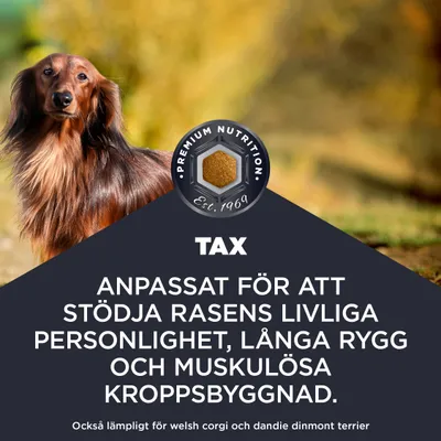 Anpassad för att stödja rasens livliga personlighet, långa rygg och muskulösa kroppsbyggnad. Även lämplig för Welsh Corgi och Dandie Dinmont Terrier. Anpassad för att stödja rasens livliga personlighet, långa rygg och muskulösa kroppsbyggnad. Även lämplig för Welsh Corgi och Dandie Dinmont Terrier.