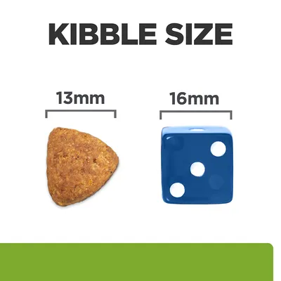 Kutyatáp szemcseméret összehasonlítás: 13 mm-es tápdarab és 16 mm-es kék dobókocka egymás mellett. Felirat: KIBBLE SIZE, méretek: 13 mm, 16 mm.