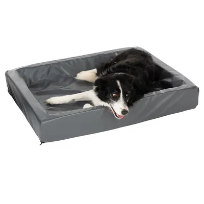 Graues Hundebett mit erhöhtem Rand, Hund liegt entspannt darauf.