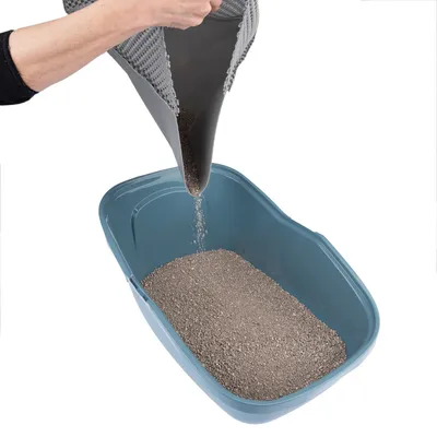 Alfombrilla gris utilizada para verter arena para gatos en un arenero azul.