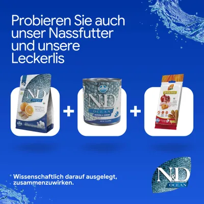 Probieren Sie auch unser Nassfutter und unsere Leckerlis. Abgebildet: ND Ocean Trockenfutter, ND Ocean Hering & Shrimp Nassfutter, ND Dental Treats. Wissenschaftlich darauf ausgelegt, zusammenzuwirken.