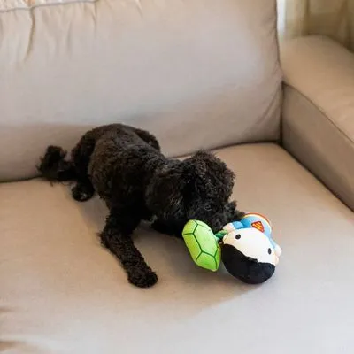 DC Superman touwspeeltje voor honden