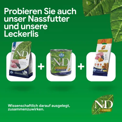 Probieren Sie auch unser Nassfutter und unsere Leckerlis. Wissenschaftlich darauf ausgelegt, zusammenzuwirken. Abgebildet: N&D Prime Trockenfutter, Nassfutter, Dental Treat. Probieren Sie auch unser Nassfutter und unsere Leckerlis. Wissenschaftlich darauf ausgelegt, zusammenzuwirken. Abgebildet: N&D Prime Trockenfutter, Nassfutter, Dental Treat.