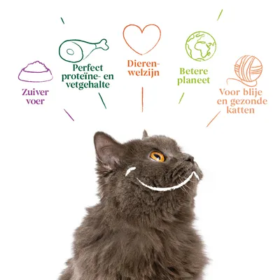 Zuiver voer, perfect proteïne- en vetgehalte, dierenwelzijn, betere planeet, voor blije en gezonde katten. Tekst in afbeelding, niet elders op de pagina.