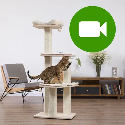 Natural Paradise, drapak dla kota, Orchid L