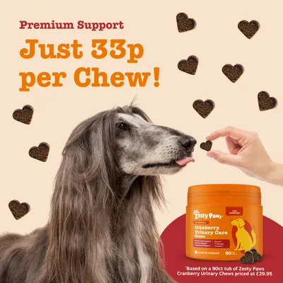 Premium Support. Just 33p per chew! Zesty Paws Cranberry Urinary Care Chews, 90 pieces, dog being fed with heart-shaped snack. Premium Support. Just 33p per chew! Zesty Paws Cranberry Urinary Care Chews, 90 pieces, dog being fed with heart-shaped snack.