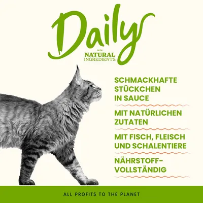 Sparpaket Almo Nature Daily Menu 24 x 70 g - Kabeljau und Shrimps