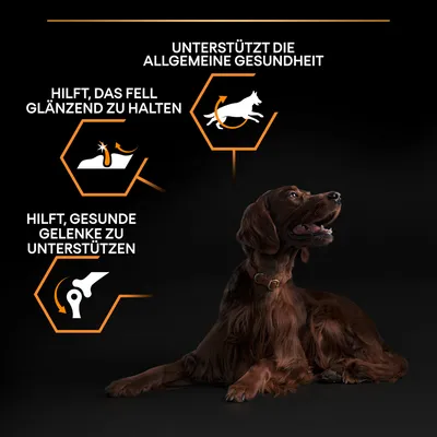 Unterstützt die allgemeine Gesundheit, hilft das Fell glänzend zu halten und gesunde Gelenke zu unterstützen.