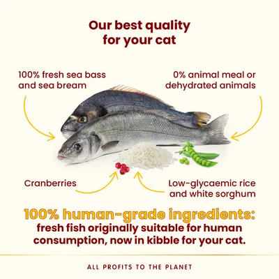 Almo Nature HFC Longevity Sterilized farkassügér & aranydurbincs