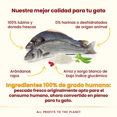 Almo Nature HFC Longevity Sterilized lubina y dorada