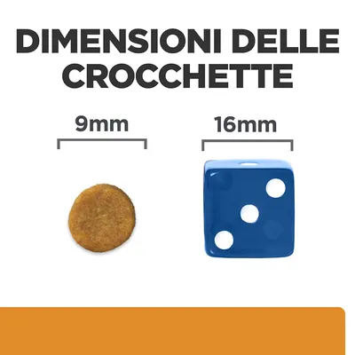 Dimensioni delle crocchette: confronto tra una crocchetta da 9 mm e un dado blu da 16 mm, testo visibile 'DIMENSIONI DELLE CROCCHETTE'