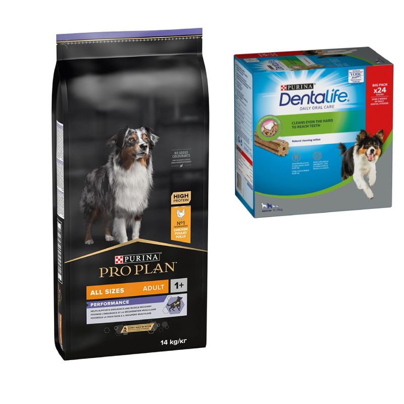 Purina: Pro Plan, сухой корм для собак, разные варианты + Dental Care, лакомство в подарок!