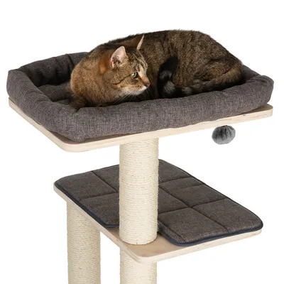 Kratzbaum mit zwei Ebenen, Sisalstämmen und gepolsterten Liegeflächen in Grau. Obere Ebene mit gemütlichem Rand, Katze liegt darauf. Integriertes Spielzeug aus grauem Stoff.