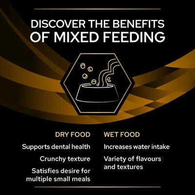 Benefits of mixed feeding: dry food supports dental health, has crunchy texture, satisfies desire for multiple small meals; wet food increases water intake, offers variety of flavours and textures.