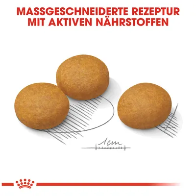 Texte en allemand : MASSGESCHNEIDERTE REZEPTUR MIT AKTIVEN NÄHRSTOFFEN. Trois croquettes rondes, diamètre indiqué 1 cm.
