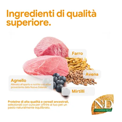 Componenti: carne di agnello, farro, avena, mirtilli. Proteine di alta qualità e cereali antichi per un pasto equilibrato. N&D Ancestral Grain.