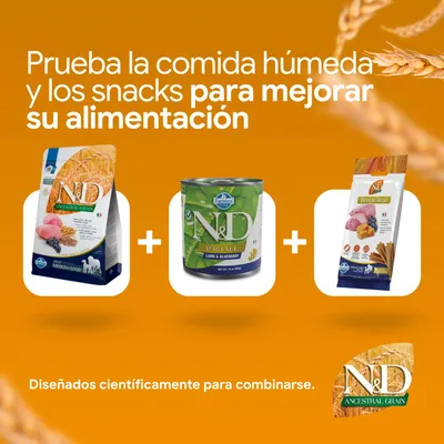 N&D Ancestral Grain pienso, N&D Prime cordero y arándanos comida húmeda y N&D Dental Treat. Se pueden combinar para una mejor alimentación. N&D Ancestral Grain pienso, N&D Prime cordero y arándanos comida húmeda y N&D Dental Treat. Se pueden combinar para una mejor alimentación.
