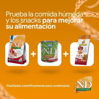 N&D Ancestral Grain pienso, N&D Prime comida húmeda y N&D Dental Treat. Desarrollado para combinarse y ofrecer una mejor nutrición. N&D Ancestral Grain pienso, N&D Prime comida húmeda y N&D Dental Treat. Desarrollado para combinarse y ofrecer una mejor nutrición.