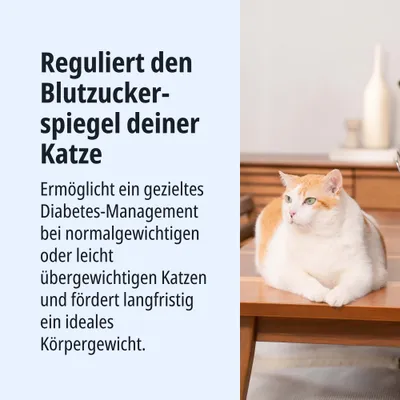 Reguliert den Blutzuckerspiegel deiner Katze. Diabetes-Management für normalgewichtige oder leicht übergewichtige Katzen, fördert langfristig ideales Körpergewicht.