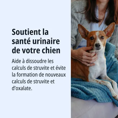 Soutient la santé urinaire de votre chien, aide à dissoudre les calculs de struvite et prévient la formation de nouveaux calculs de struvite et d’oxalate. Soutient la santé urinaire de votre chien, aide à dissoudre les calculs de struvite et prévient la formation de nouveaux calculs de struvite et d’oxalate.