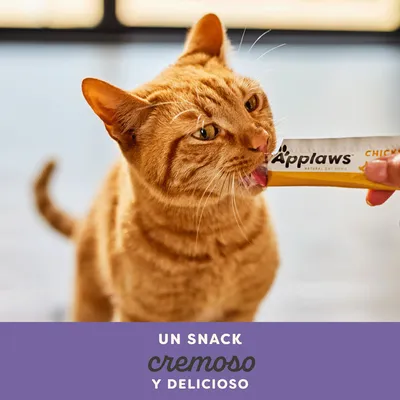 Applaws Snack Cremoso 16 x 15 g - Pack ahorro