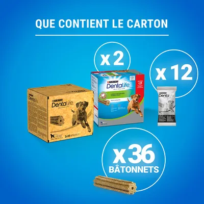 Contenu du carton : 2 boîtes Purina Dentalife, 12 sachets individuels, 36 bâtonnets visibles. Texte en haut : Que contient le carton.
