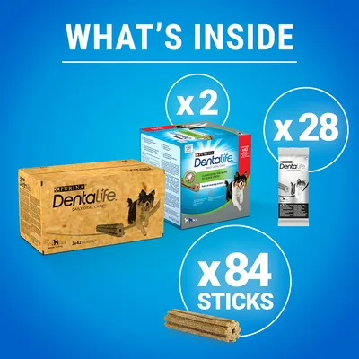 PURINA Dentalife Daily Oral Care. Pakke med 2 æsker, 28 poser og i alt 84 sticks. Tekst: WHAT'S INSIDE, x2, x28, x84 STICKS. Billeder af emballage og tyggepind synlige. PURINA Dentalife Daily Oral Care. Pakke med 2 æsker, 28 poser og i alt 84 sticks. Tekst: WHAT'S INSIDE, x2, x28, x84 STICKS. Billeder af emballage og tyggepind synlige.