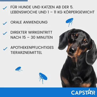 Capstar. Für Hunde und Katzen ab der 5. Lebenswoche, 1–11 kg Körpergewicht. Orale Anwendung. Direkter Wirkeintritt nach 15–30 Minuten. Apothekenpflichtiges Tierarzneimittel.