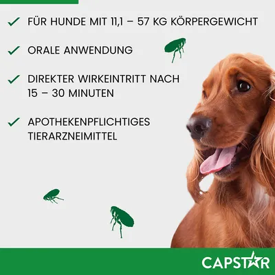Capstar. Für Hunde mit 11,1–57 kg Körpergewicht. Orale Anwendung. Direkter Wirkeintritt nach 15–30 Minuten. Apothekenpflichtiges Tierarzneimittel.