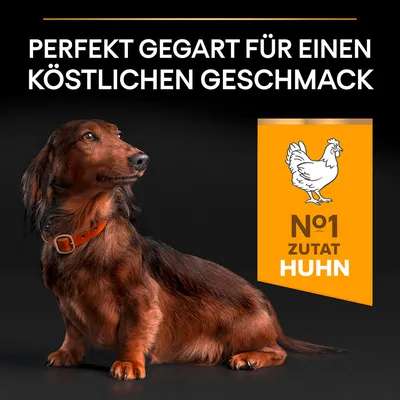 Texte en allemand : 'Perfekt gegart für einen köstlichen Geschmack'. Encadré orange : dessin de poulet, texte 'N°1 Zutat Huhn'. Chien teckel assis avec collier marron.