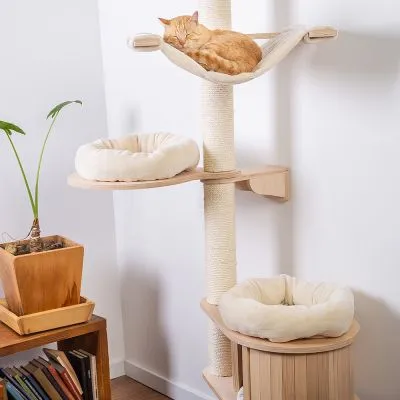 Tiragraffi in legno chiaro con tre letti imbottiti color crema e un gatto arancione che dorme sulla parte superiore. Struttura a più livelli, adatta per interni.