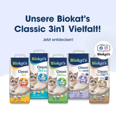 Biokat´s Classic 3in1 Fresh Katzenstreu Frühling