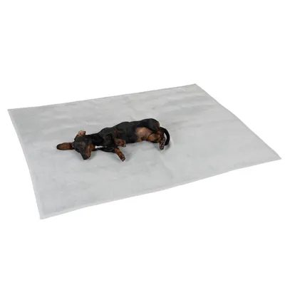 Dog lying on a grey mat. Product shows a pet mat for pets.