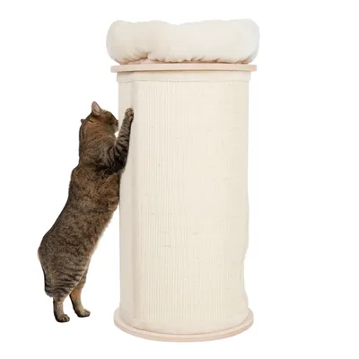 Kratzsäule mit beigem Sisalbezug und gepolsterter Liegefläche oben, Katze streckt sich an der Säule.