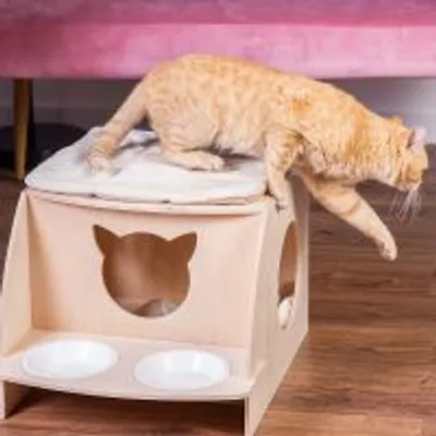 Gatto arancione su cuccia in legno con cuscino, due ciotole bianche e foro a forma di testa di gatto sul davanti. Pavimento in legno, divano rosa sullo sfondo.