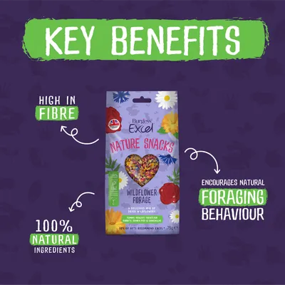 Burgess Excel Nature Snacks Wildflower Forage - 75g Burgess Excel Nature Snacks Wildflower Forage - 75g