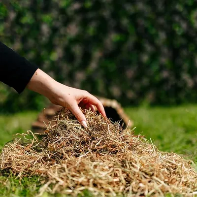 Burgess Excel Hedgerow Herbs Feeding Hay - 2.7kg Burgess Excel Hedgerow Herbs Feeding Hay - 2.7kg