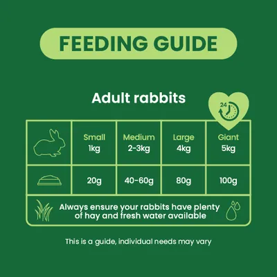 Burgess Excel Adult Rabbit Nuggets with Mint - 1.5kg Burgess Excel Adult Rabbit Nuggets with Mint - 1.5kg