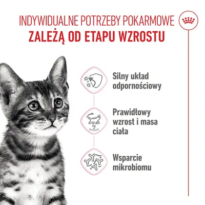Grafika z kotem i polskim tekstem: Silny układ odpornościowy, Prawidłowy wzrost i masa ciała, Wsparcie mikrobiomu. Temat: Potrzeby żywieniowe w zależności od fazy wzrostu. Grafika z kotem i polskim tekstem: Silny układ odpornościowy, Prawidłowy wzrost i masa ciała, Wsparcie mikrobiomu. Temat: Potrzeby żywieniowe w zależności od fazy wzrostu.
